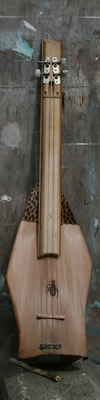 Palm Frond Stringed Musical Instrument
