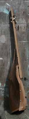 Palm Frond Stringed Musical Instrument