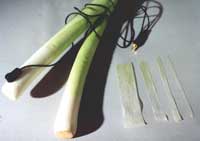 leek violin