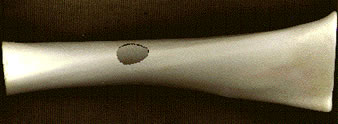 Animal Bone Mirliton (Kazoo)
